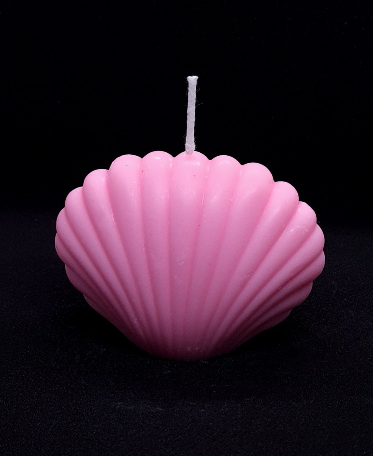 Bougie coquillage